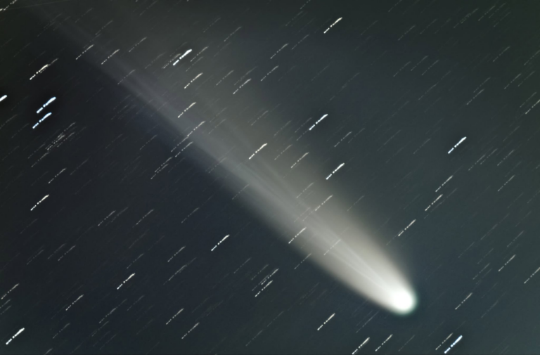 C/2025 A6 (Lemmon)